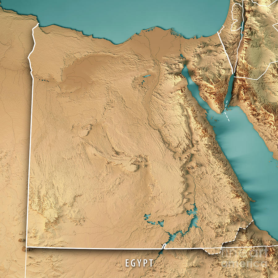 Egypt Business