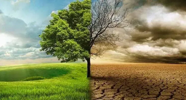 Climate Solutions